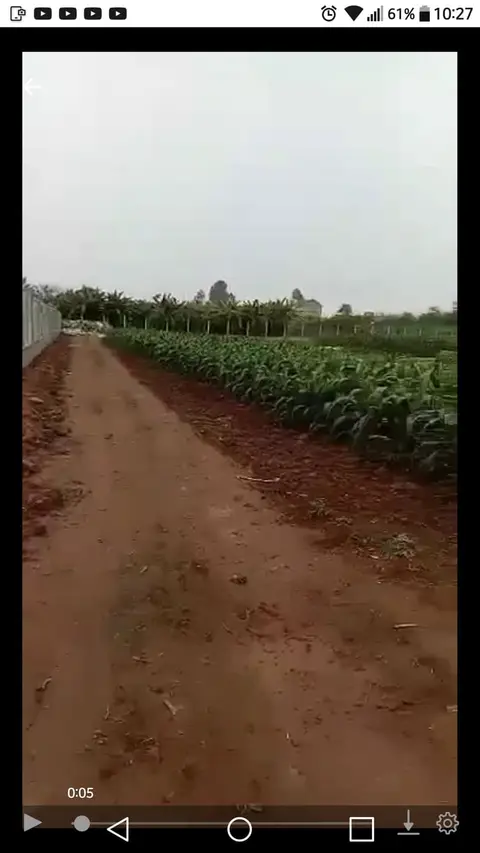 cho thue ban dat 15 ha 50 nam co the xay dung gan duong quoc lo container quay dau r ntoi can cho thue hoac ban dat trong tai ha nam gan duong quoc lo r ndien tich 15 ha mat tien rong co 2 duong container vao thoai mai r ndang chuyen doi muc dich su du