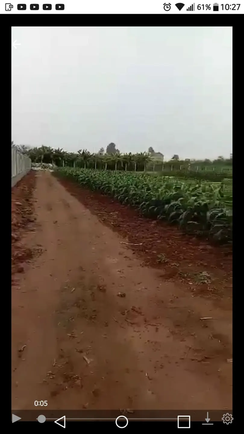 cho thue ban dat 15 ha 50 nam co the xay dung gan duong quoc lo container quay dau r ntoi can cho thue hoac ban dat trong tai ha nam gan duong quoc lo r ndien tich 15 ha mat tien rong co 2 duong container vao thoai mai r ndang chuyen doi muc dich su du